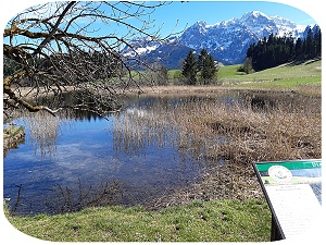 Egelsee in Abtenau - Naturlehrpfad