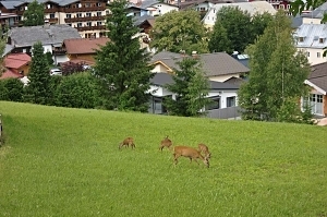 Hier wo die Natur zum Erlebnis wird